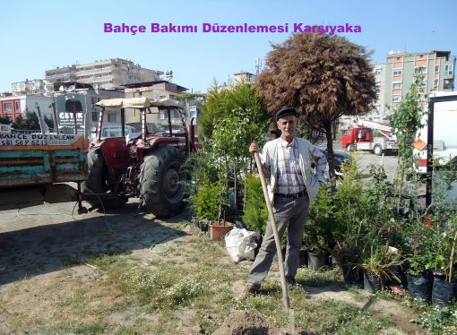  BAHÇE BAKIMI DÜZENLEMESİ