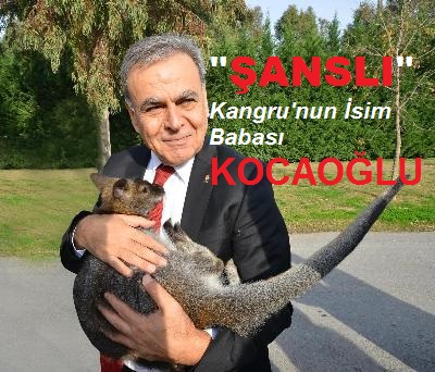  Şanslı Kangrunun İsim Babası Aziz Kocaoğlu